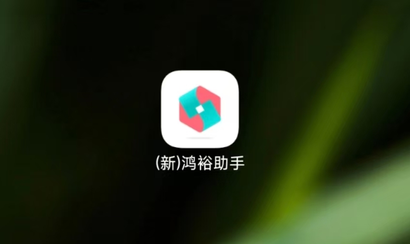 鸿裕助手：足球下单App！提现方便，单单出票！